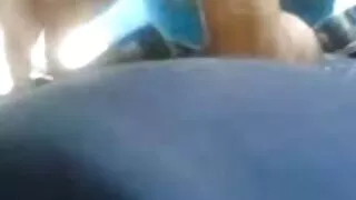 गोरो मिल्फले दुईवटा लङ्गडालाई प्रहार गर्छ र गब्बल गर्छ