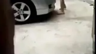 कुकुरमा रेडहेड किशोर