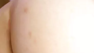 भिजेको पिसी बेब कुकुरमा सर्छ
