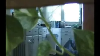 लस्टी बच्चाहरू पोज गर्न मन पराउँछन्