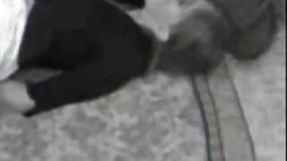 ठूलो गधा संग तातो गोरो सेक्स छ